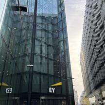  EYストラテジー・アンド・コンサルティング株式会社